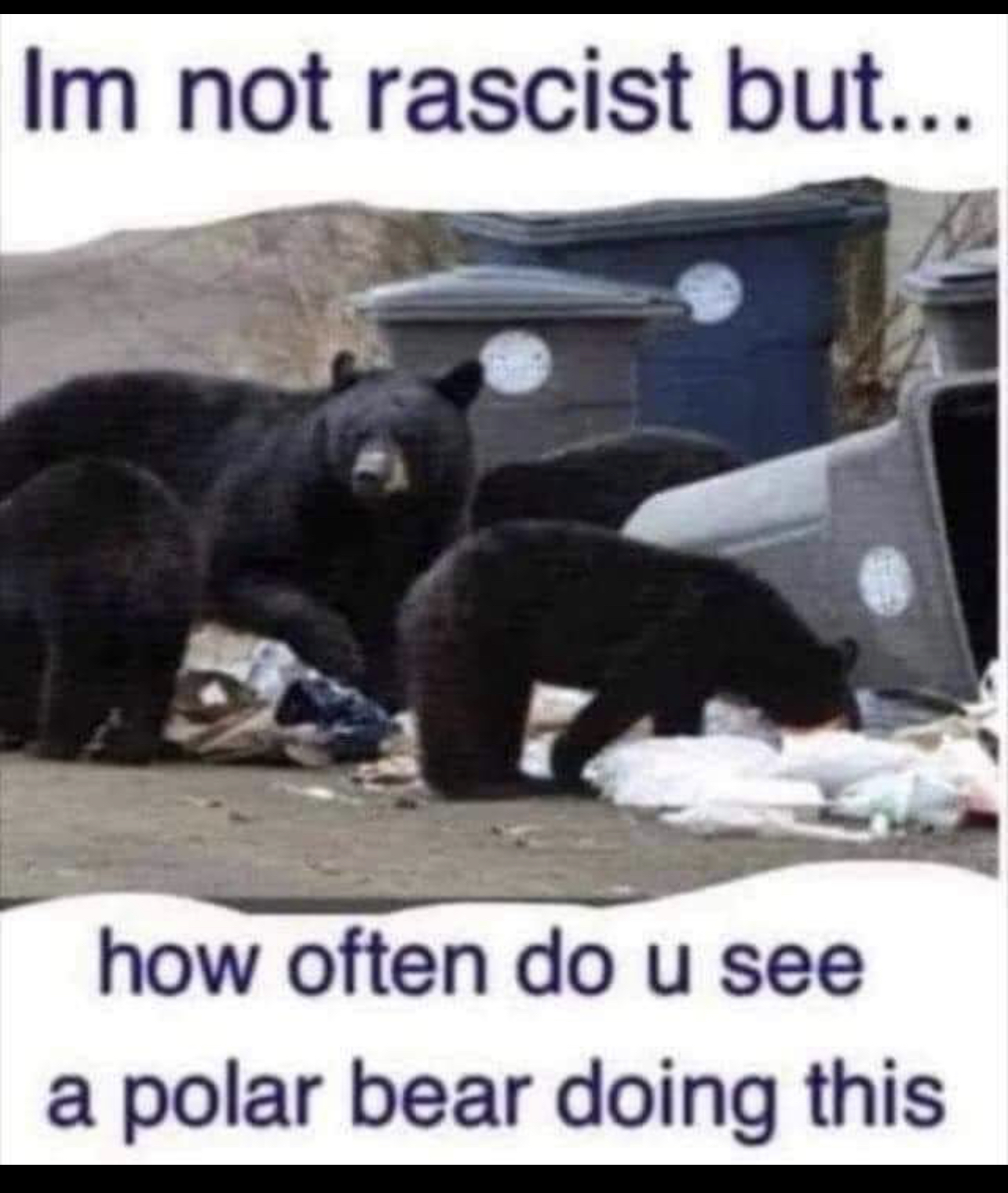 A59F23C6-1F41-45E4-8E2C-ED7E6B48806C.jpeg