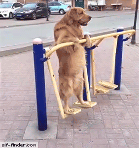 A5D79D8A-BD5F-4191-B9DF-E47B51FB0AA9.gif