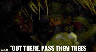 a6246568-6559-49d9-8b3a-016fe7a2afd3_text.gif