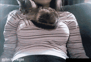 A6347356-20B5-4BCA-90FF-E596C38EA48F.gif