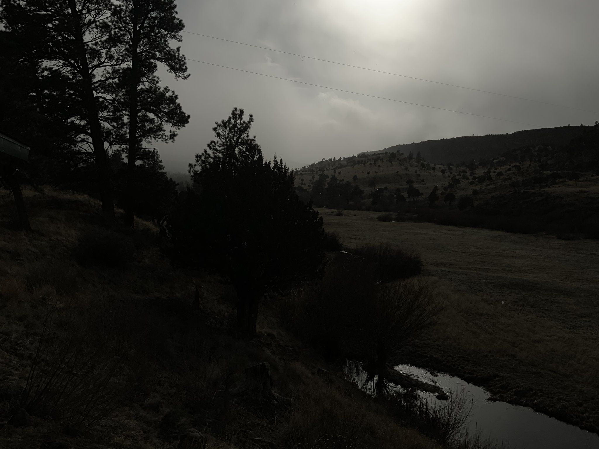 A6A636A3-68AE-4AEE-A259-EE12935EA4A0.jpeg
