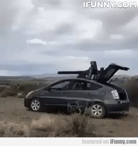 A7BE54E2-10E0-468D-85FB-3E34E512A92E.gif