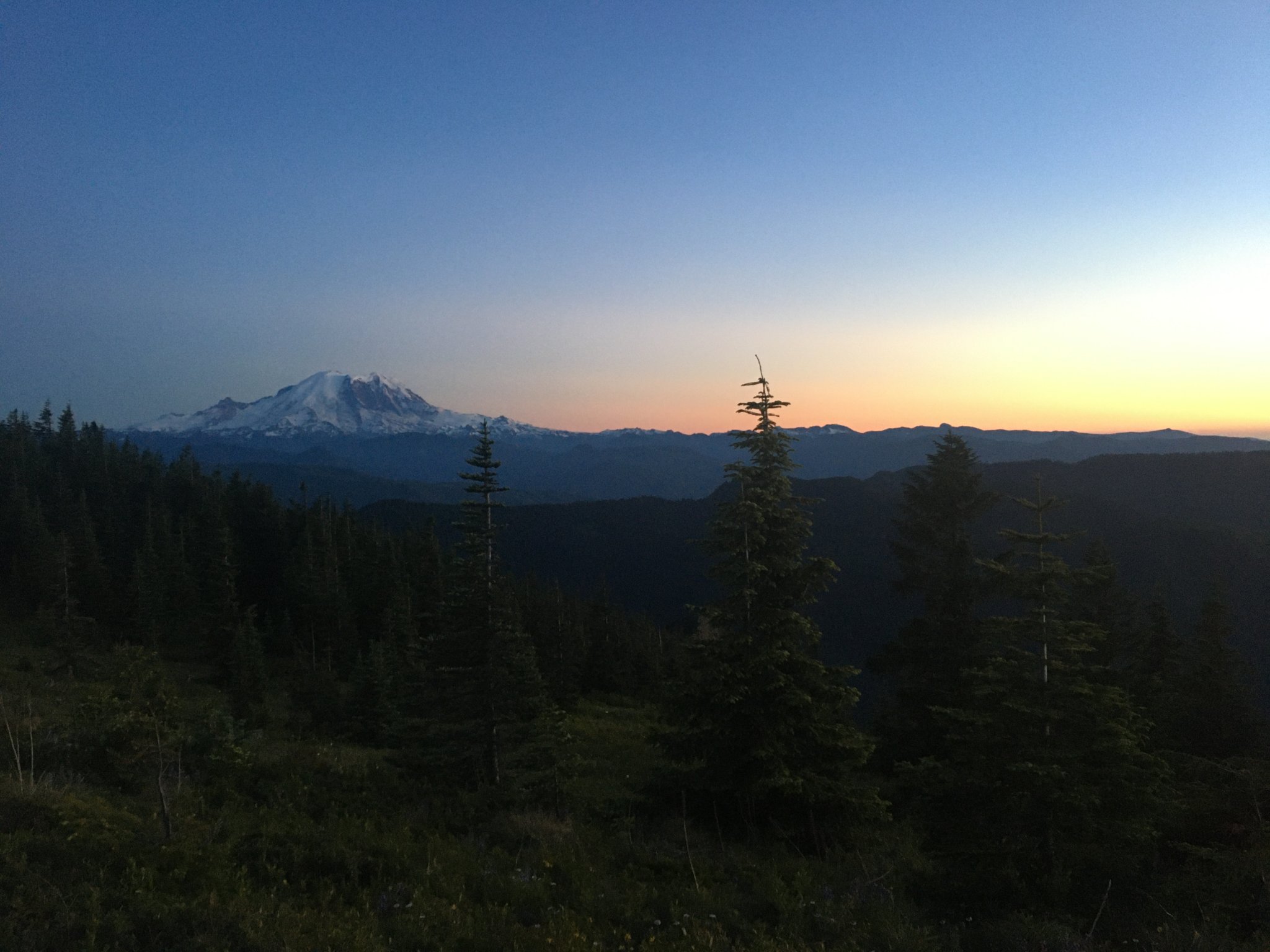 A7D0D28D-911A-4206-95A0-1C8952C83043.jpeg