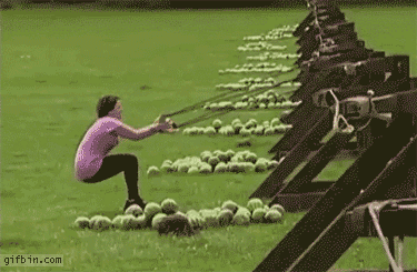 A98EB426-A709-4DD8-B296-44C68BAC9FCF.gif