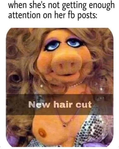 A9E23519-D9A9-44BD-960F-A0639893B9F8.jpeg