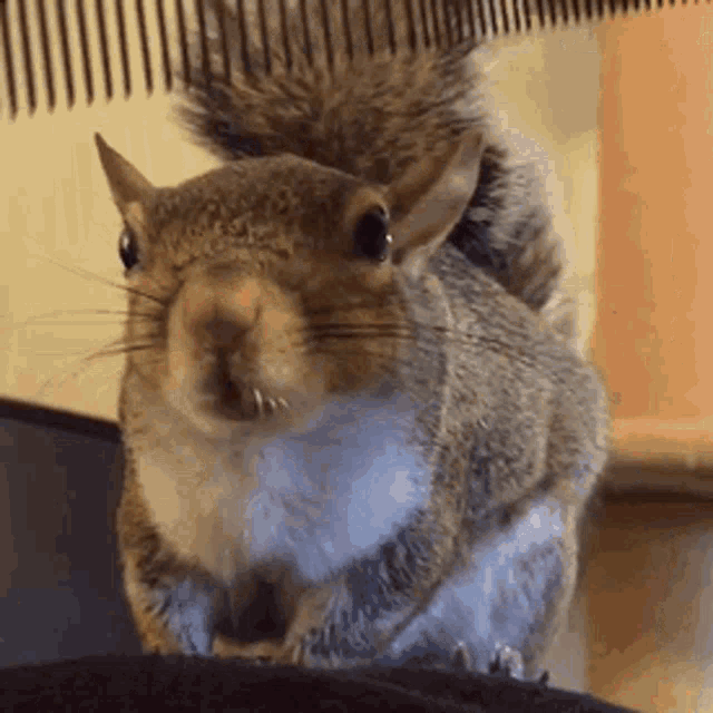 AA024A3C-1D78-4044-99F5-81F931979BF0.gif