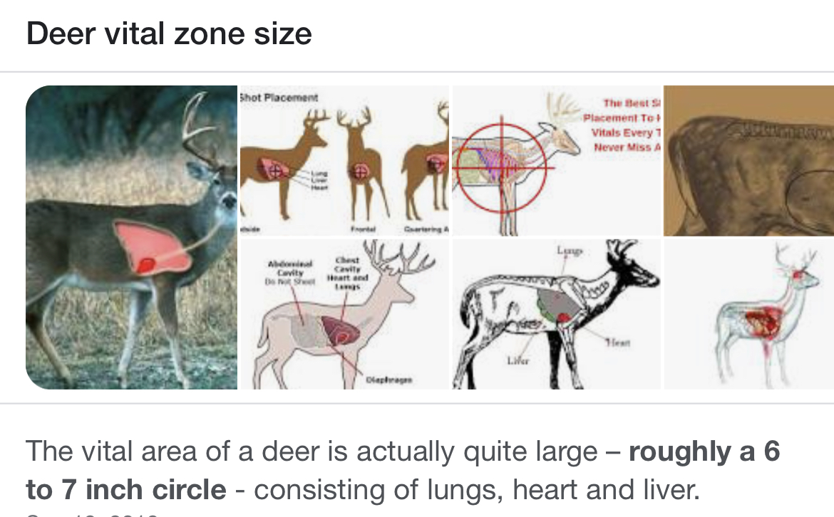 AA03A08F-E3E0-4A3F-8B1A-26510967D4AD.jpeg