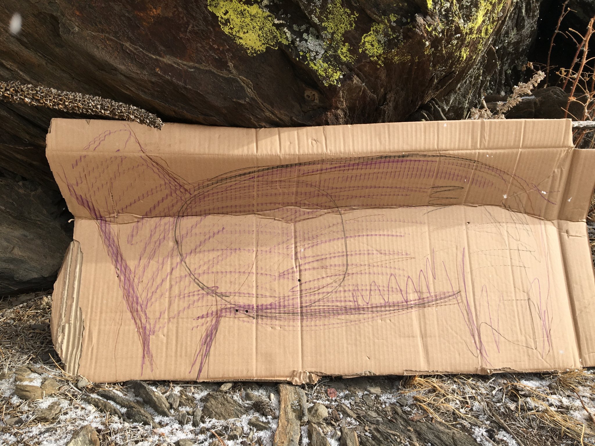 AA081189-62AB-4BF3-AC8F-1868B775528A.jpeg