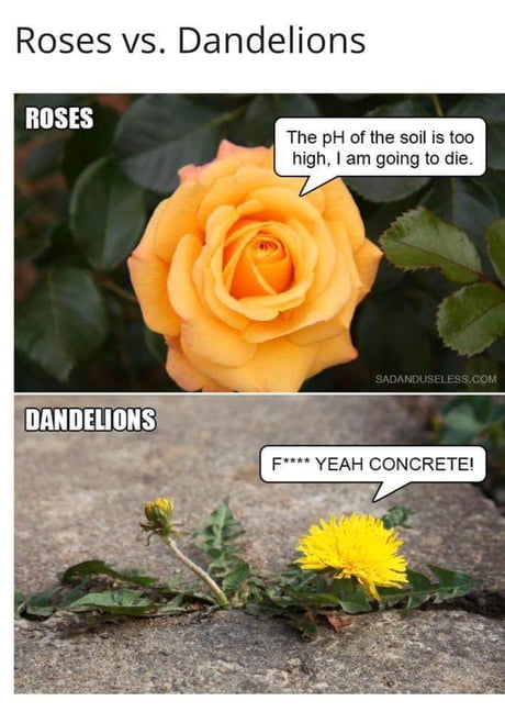aAeRd92_460s.jpg