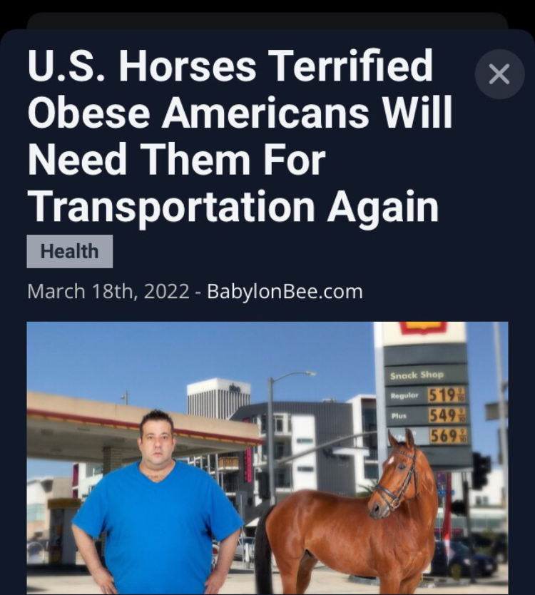 AB8B2897-79FA-4C2E-BF29-25143FD4AB0D.jpeg