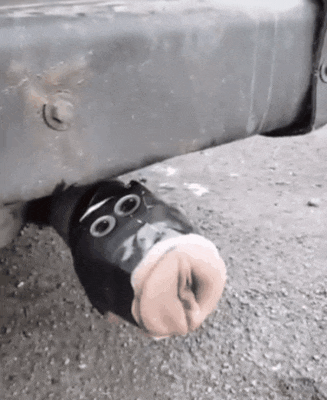 AC366E34-3757-47FD-B36B-925AF6C76B56.gif