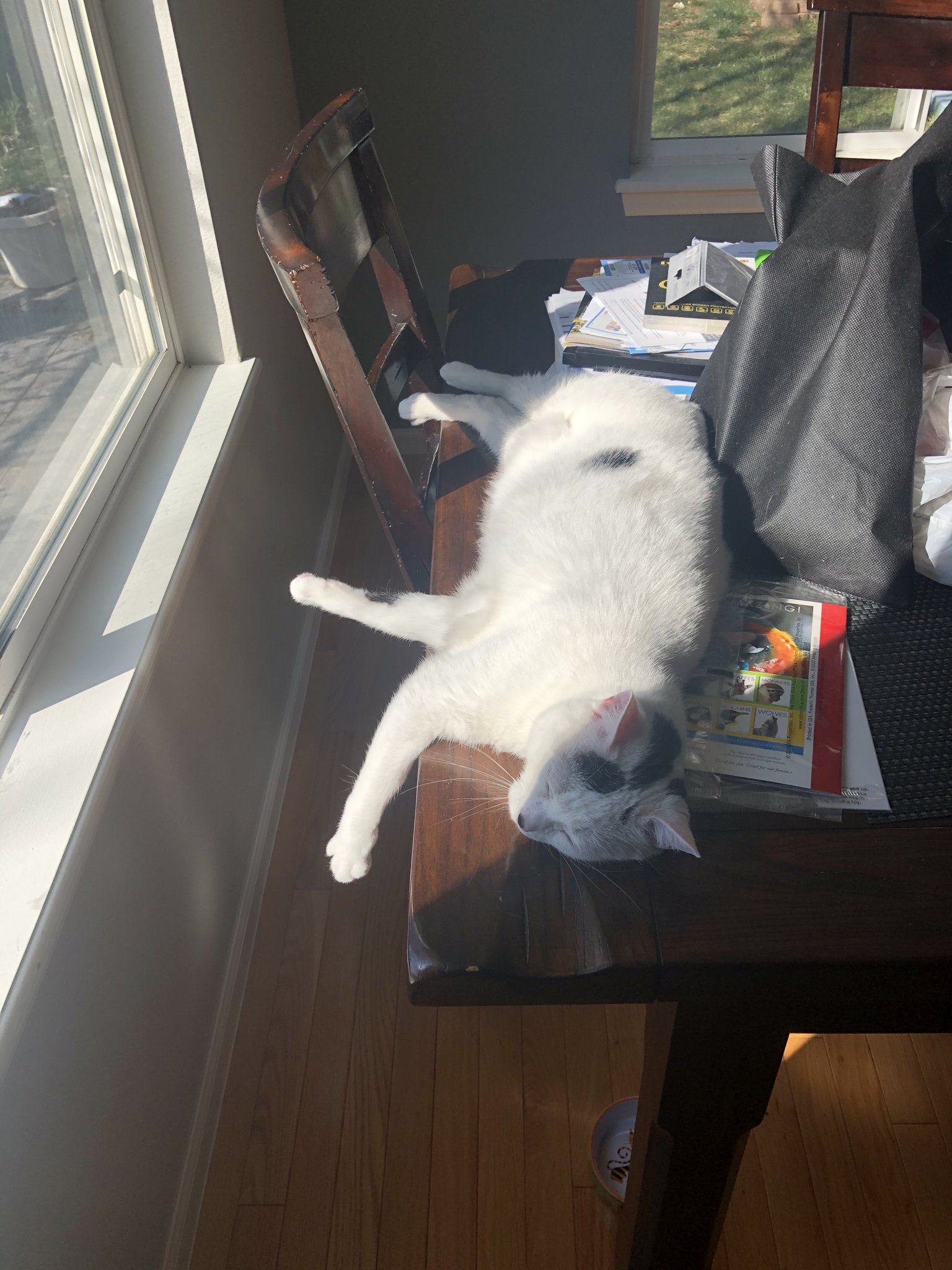 ACD03928-06AD-41C3-9394-7E1A97F7B2CB.jpeg