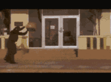 ace-ventura-stunt.gif