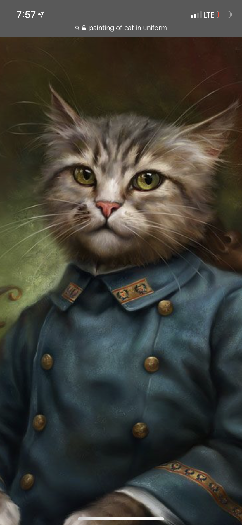 ACE8F891-4ADB-4E03-BF18-9408A48A644B.png