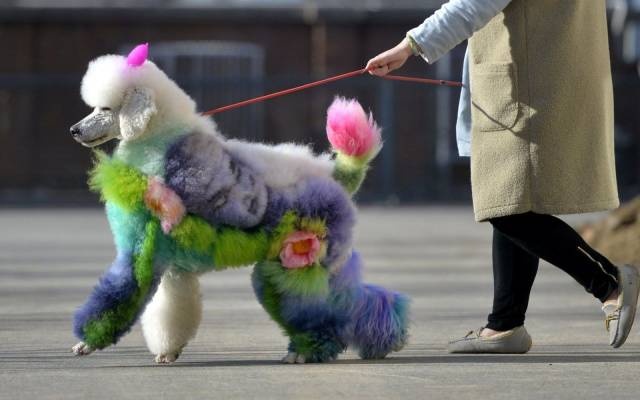 acid_picdump_08.jpg