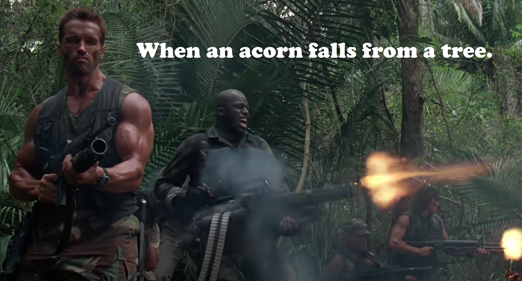 Acorn shooting.jpg