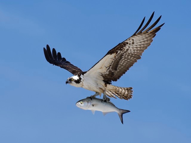 ADA626DA-9FFF-4C9E-B600-E32E34F44B8D.jpeg
