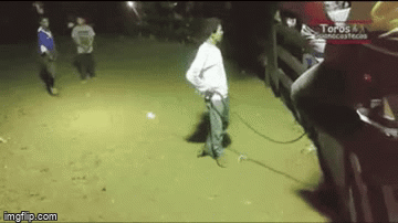 ADEACF00-8E0C-49A6-8706-D550713D6F03.gif