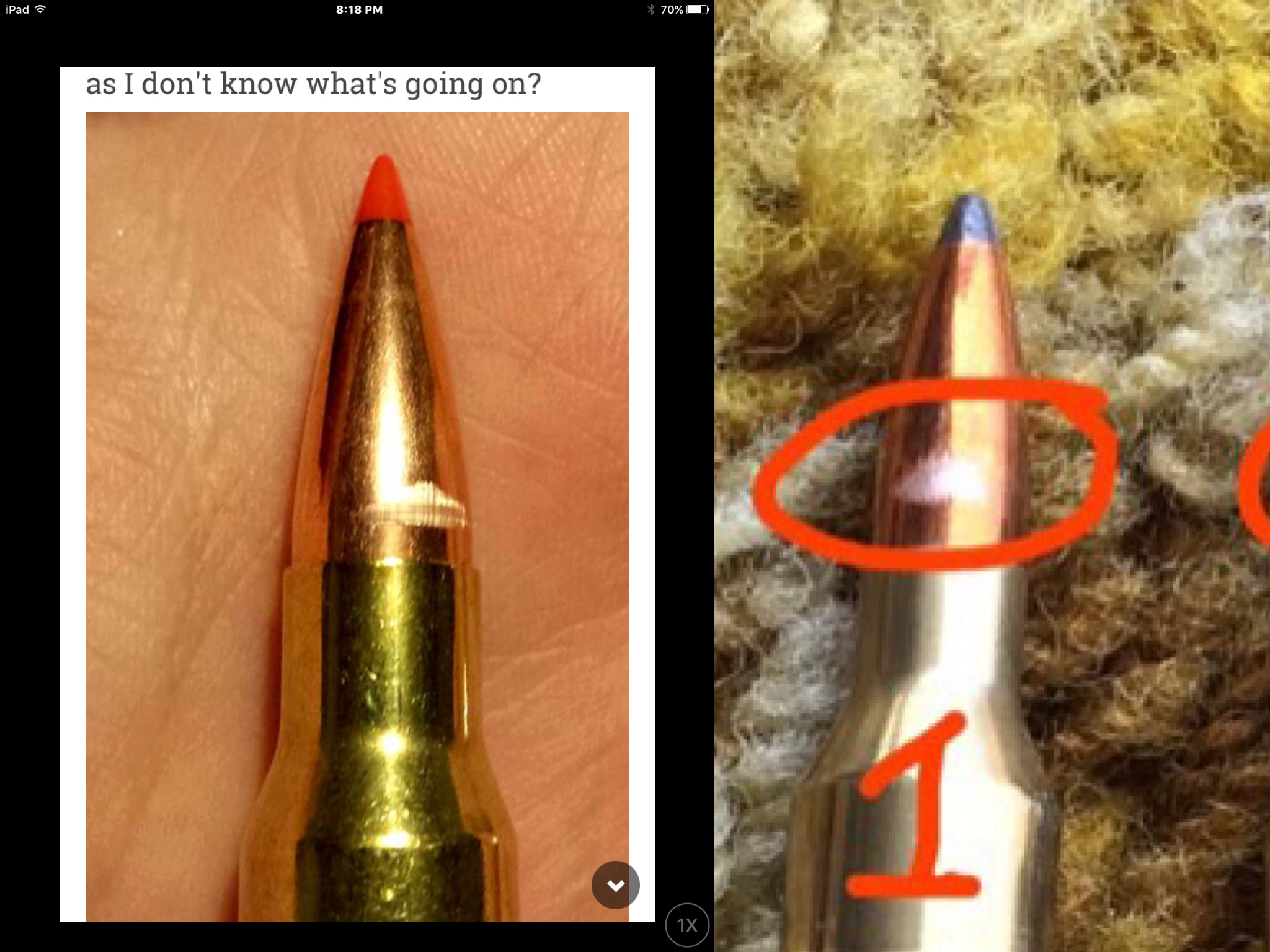 AEE54495-E2B9-4AC3-AF03-8CFEB48E9412.jpeg