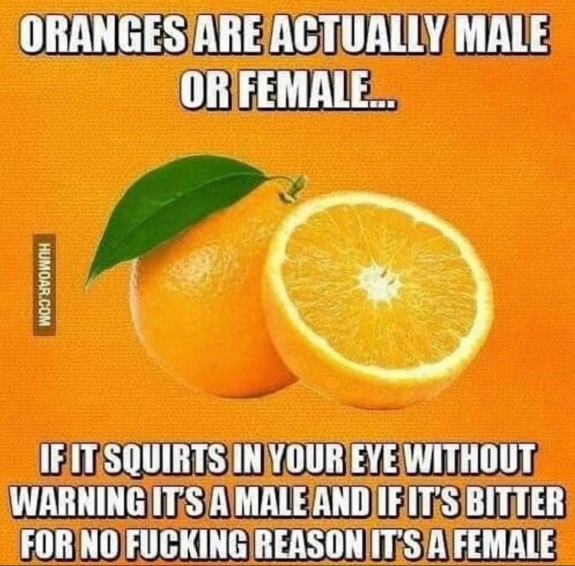 AF355C86-61A7-450D-B4C5-37EC0D6B7E18.jpeg