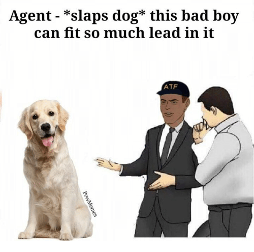 agent-slaps-dog-this-bad-boy-can-fit-so-34491831.png