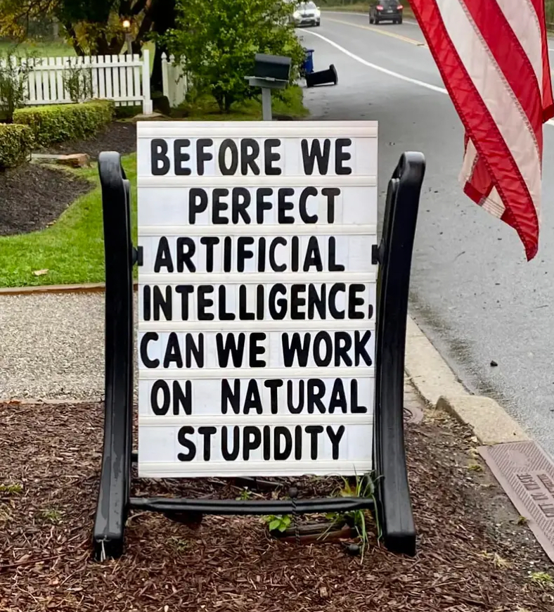 AI vs Natural Stupidity.jpeg