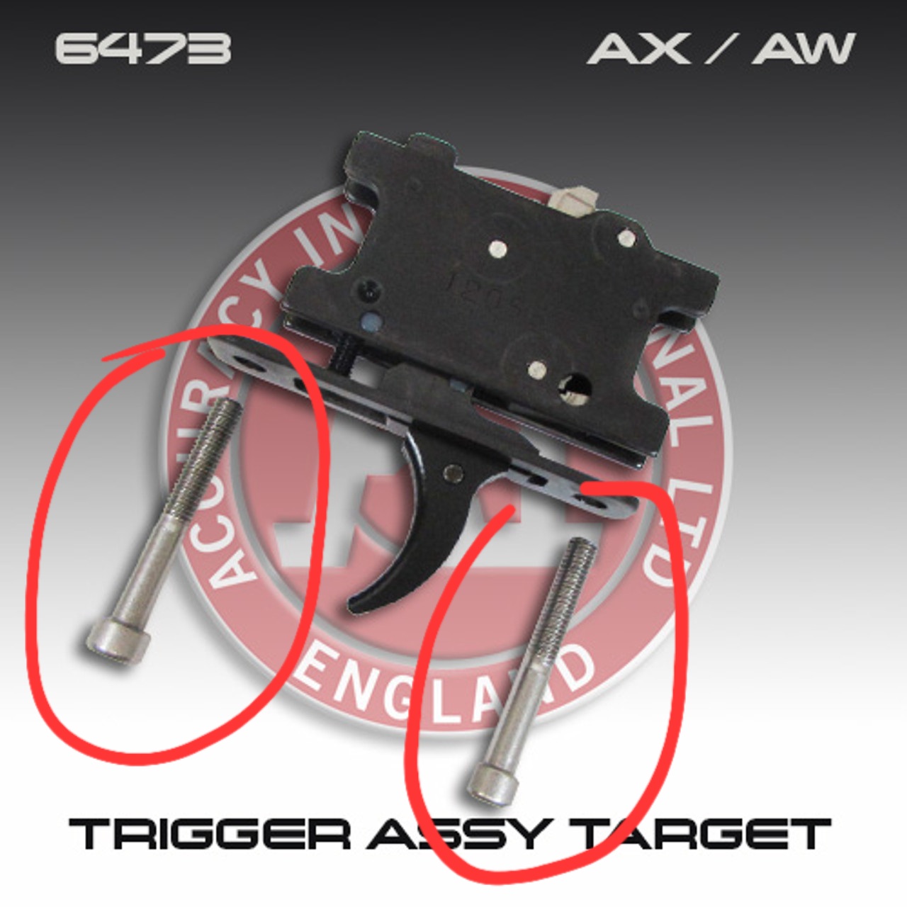 AI_6473_400__63903.jpg