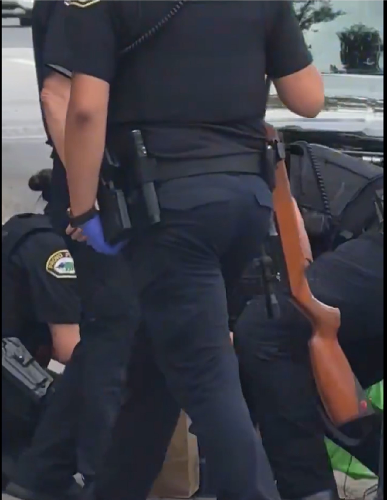 Air Rifle Arrest.jpg