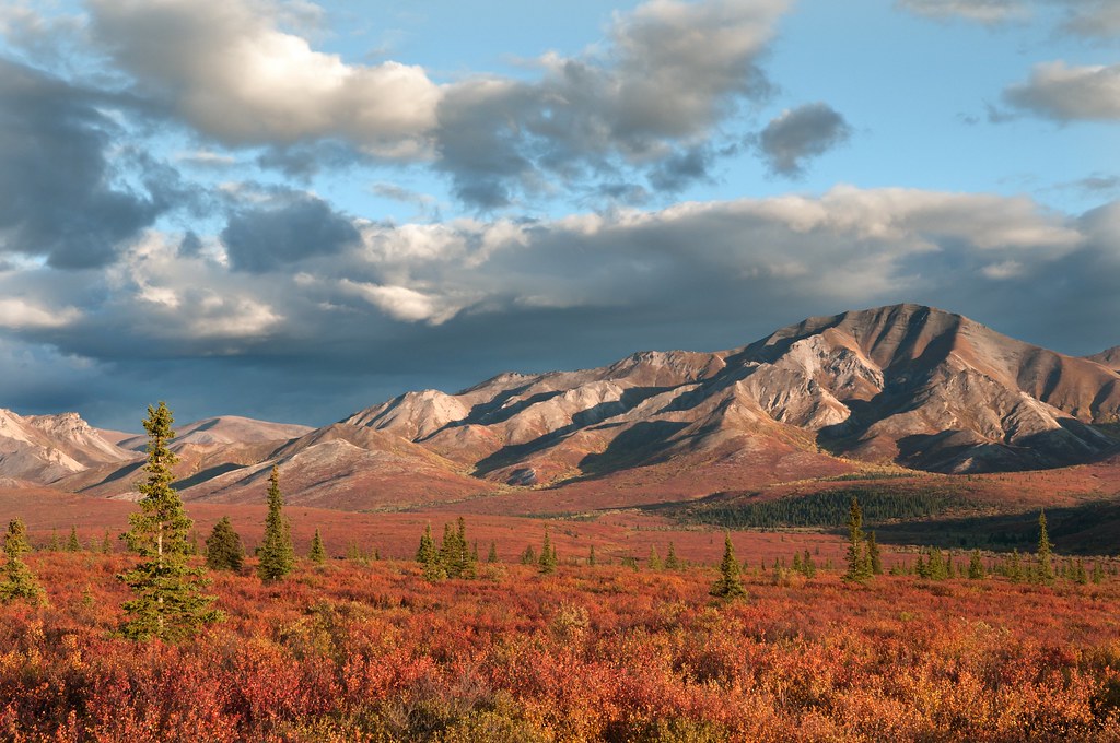 alaska range.jpg