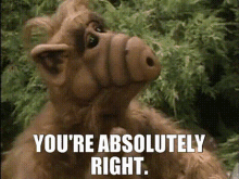 alf-youre-absolutely-right.gif