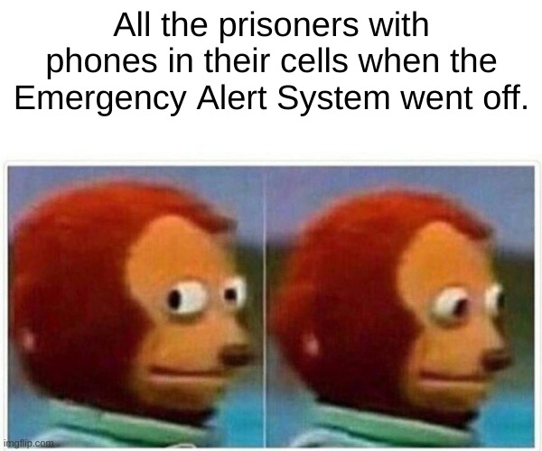 alm5yrm7b8sb1.jpeg