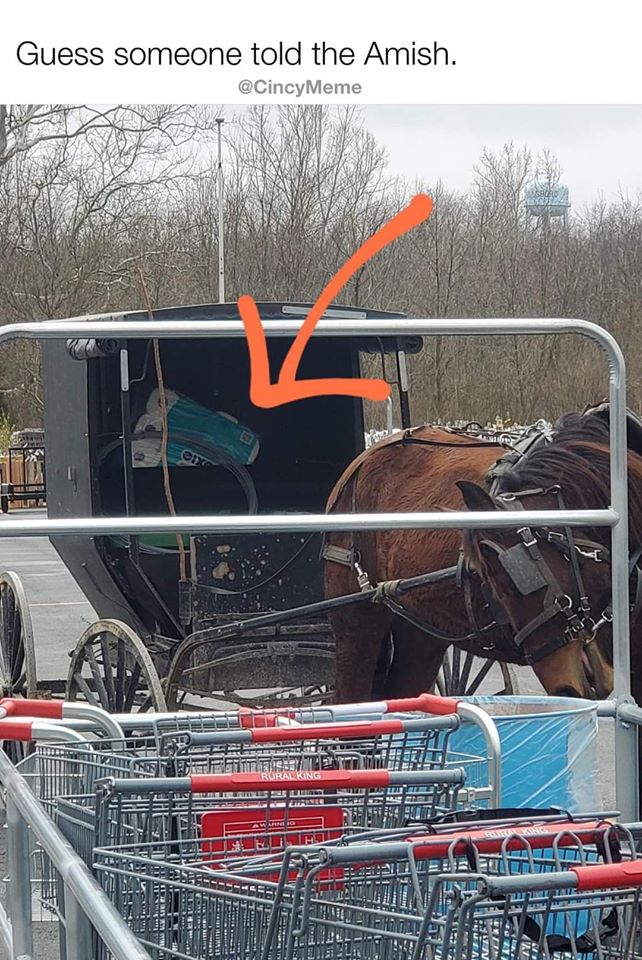 Amish TP.jpg