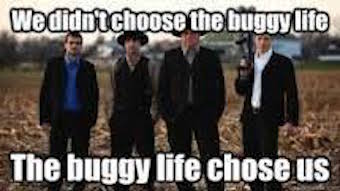 AmishBuggyLifeChoseUs.jpg