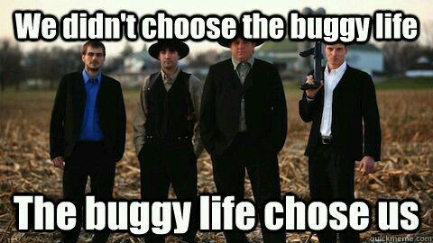 AmishBuggyLifeMEME.jpeg