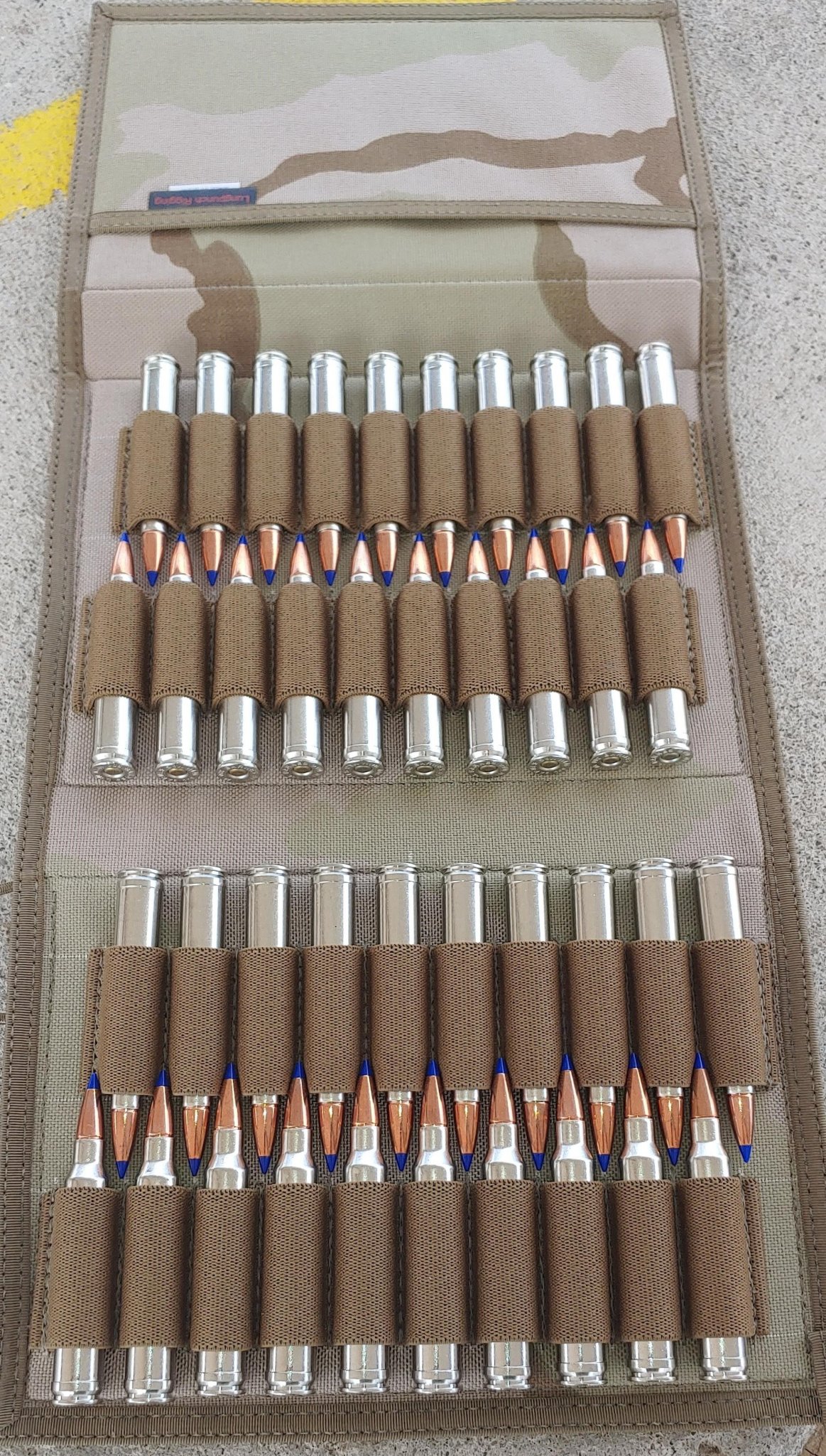 Ammo Binder 300WM.jpg