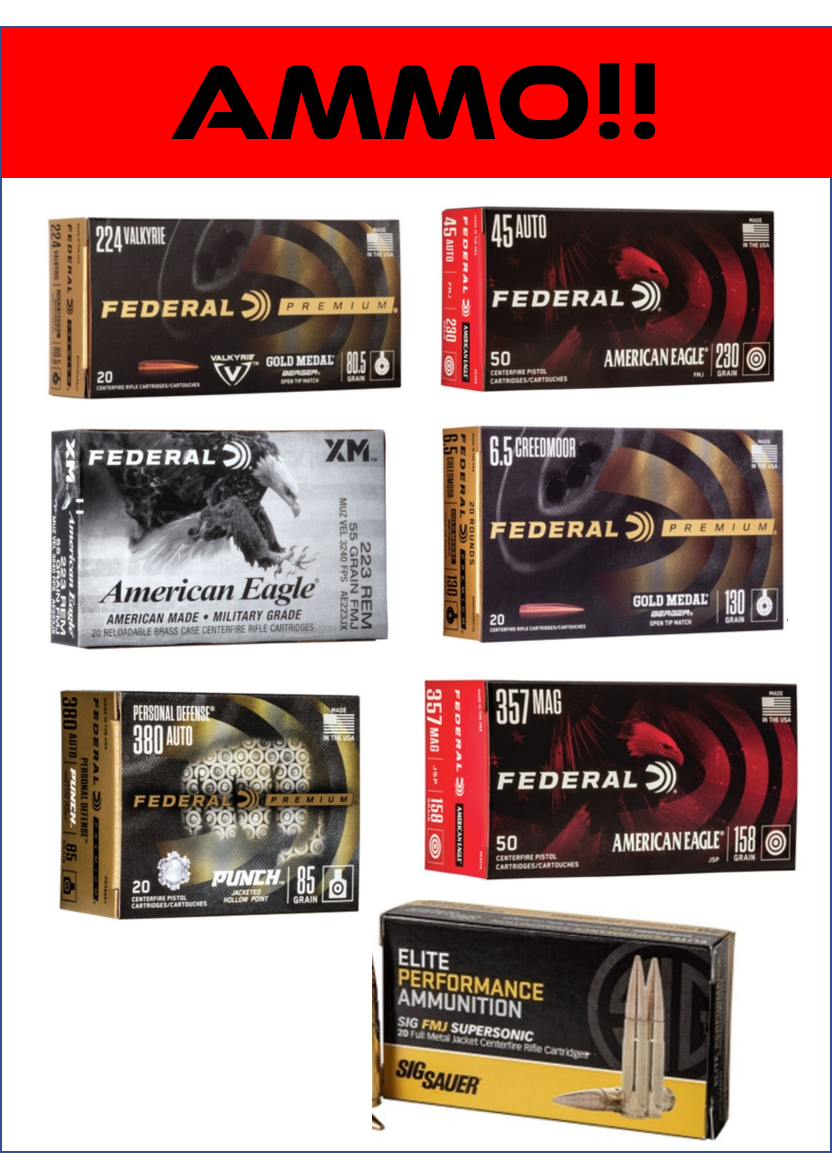 Ammo Promo2.png
