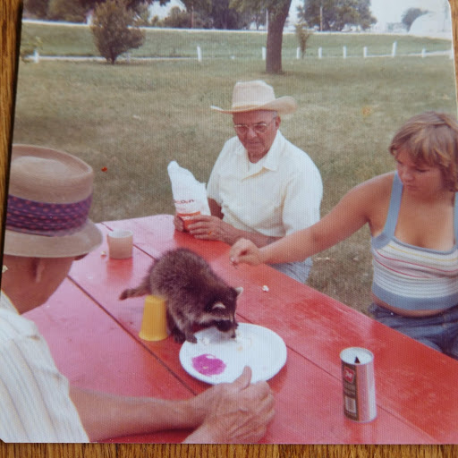 amy with pet coon.jpg