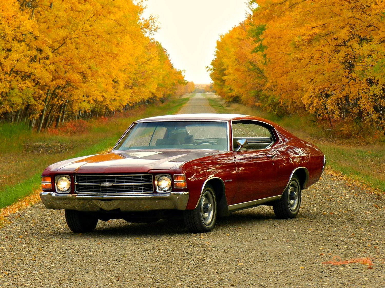 Amy's car (02) - Copy.JPG
