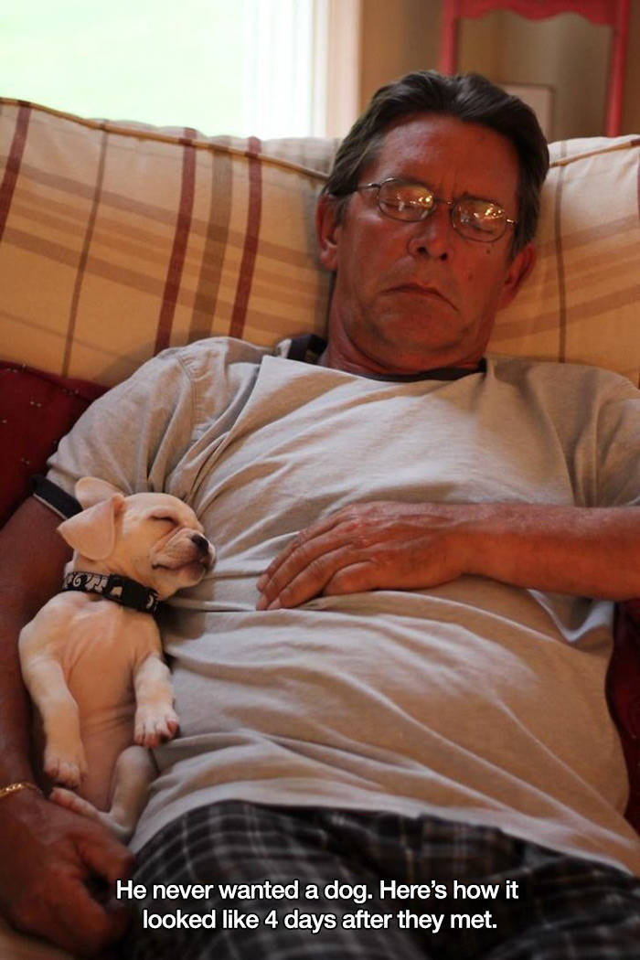 and_they_didnt_want_a_pet_640_high_17.jpeg