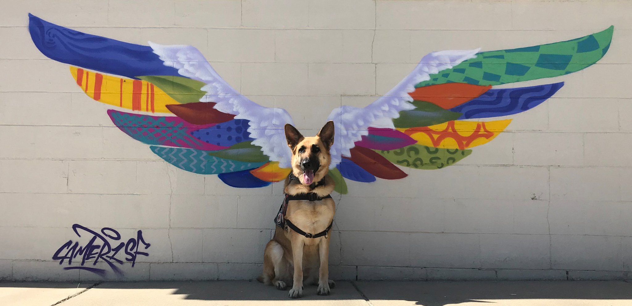 Angel Brandy.JPG