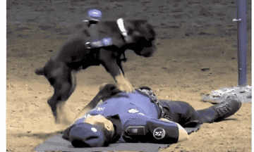 anigif_sub-buzz-10014-1530020607-1.gif