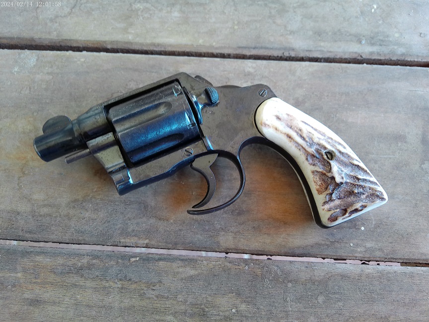 ANMP0007.jpg
