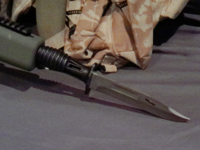 ANMP0017.jpg