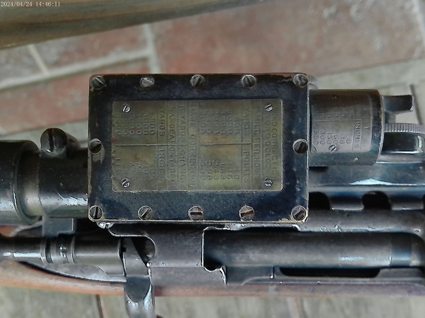 ANMP0096.jpg