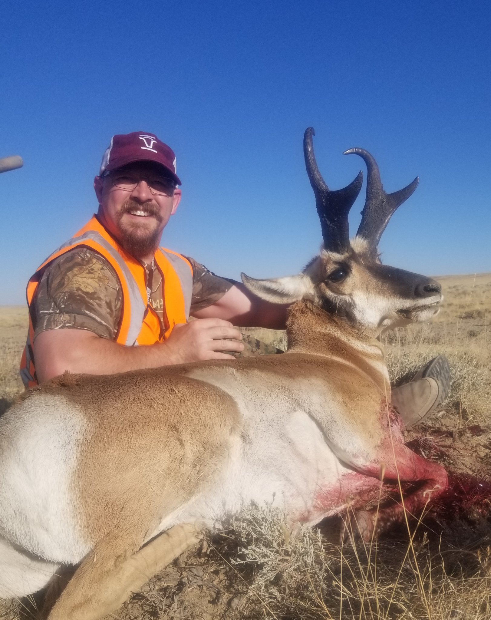 Antelope 19 2.jpg