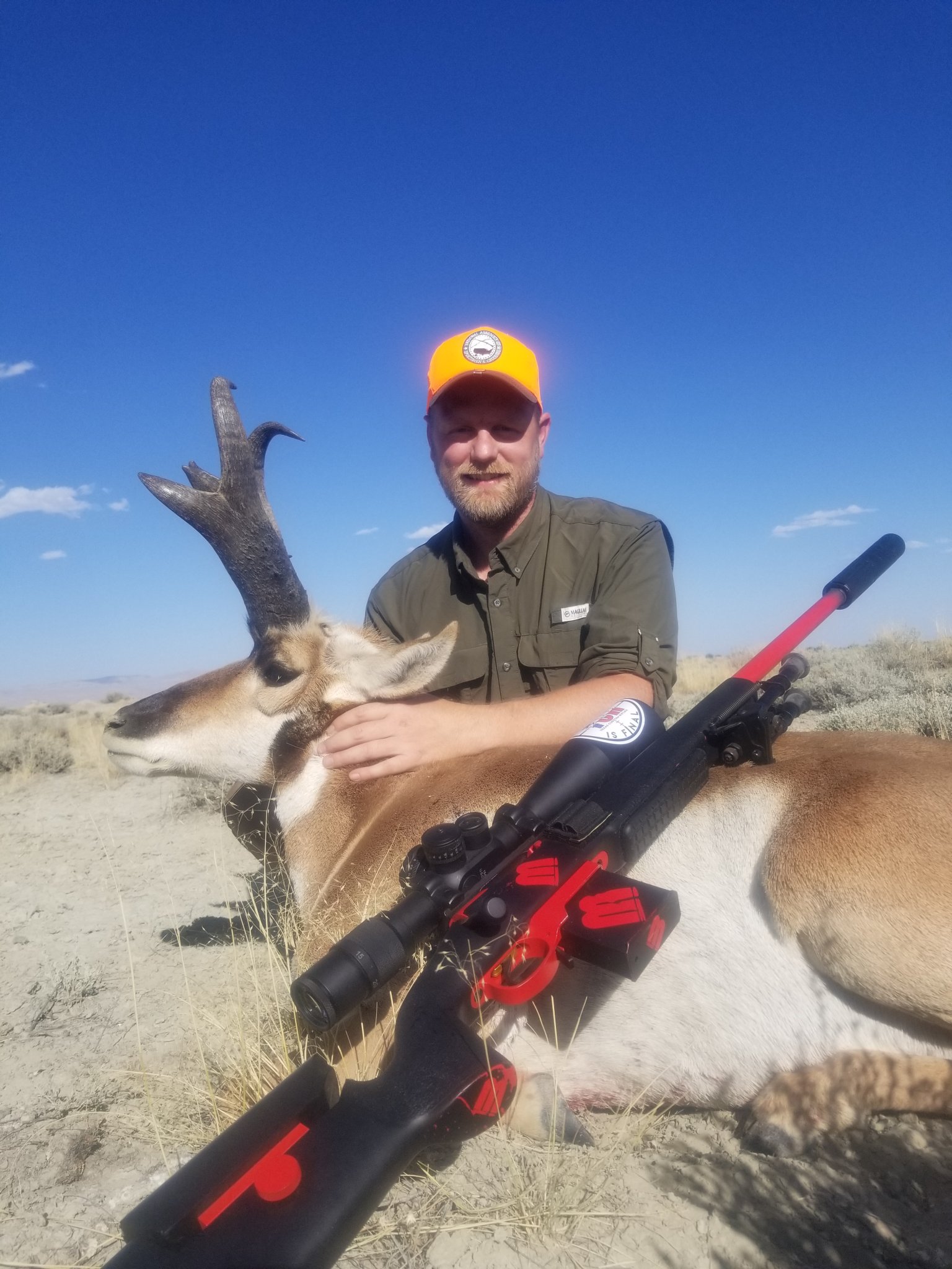 Antelope 19.jpg