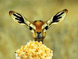 antelope.gif