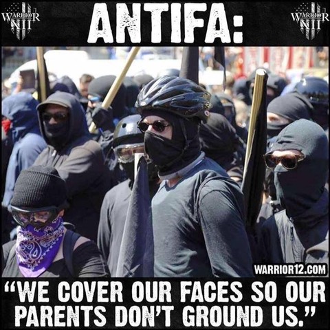 Anti.jpg
