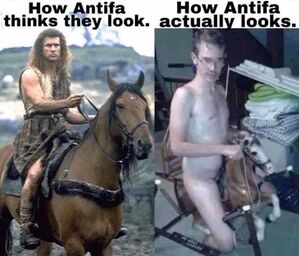AntifaSelfImageMeme.jpg