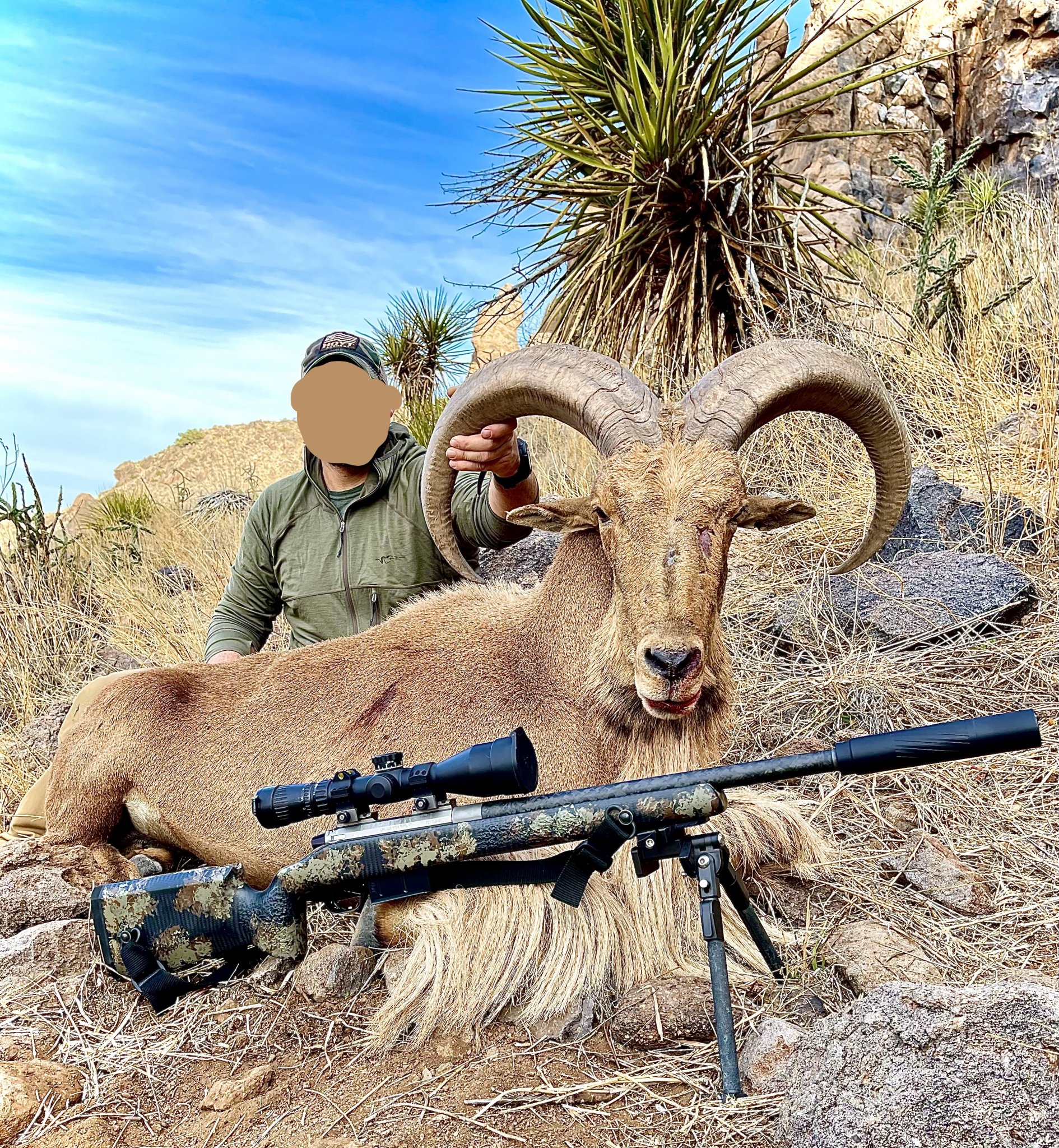 Aoudad edit.jpg